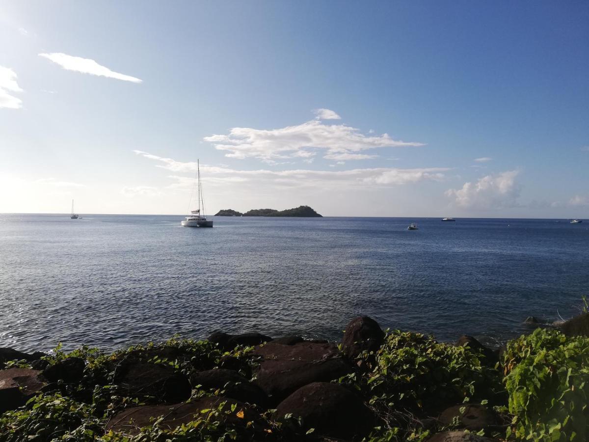 Appartement Avec Vue Sur Mer ブイヤント エクステリア 写真